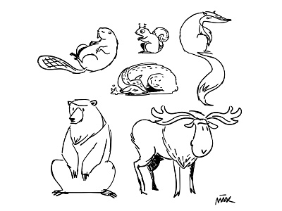 Forest animal sketch illustration sketchy
