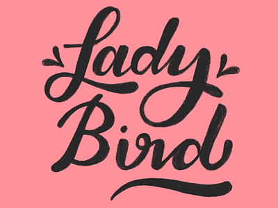 Lady Bird female feminist greta gerwig lady bird lettering procreate script typography