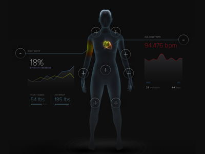 Interactive body body data visualisation digital fitness health infographics ui