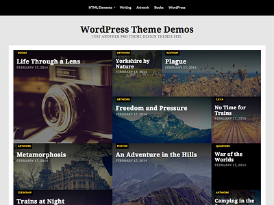 Riddle WordPress Theme