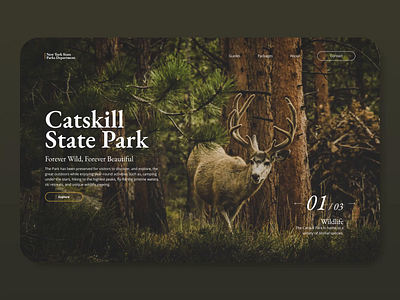 Catskill State Park | Landing Page Concept animation design digital design layout design photo editing photograhy typogaphy web design