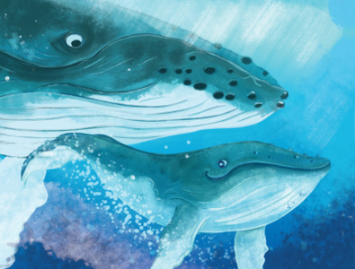 One Remarkable Reef : Whales childrens book illustration picturebook underwater
