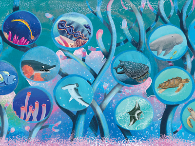 One Remarkable Reef: End papers childrens book illustration picturebook underwater