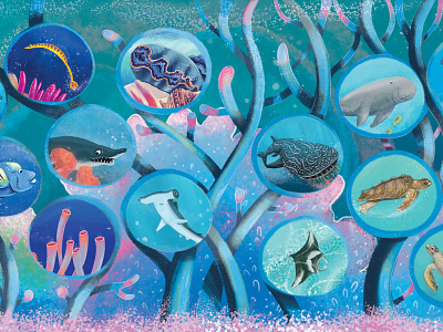 One Remarkable Reef: End papers