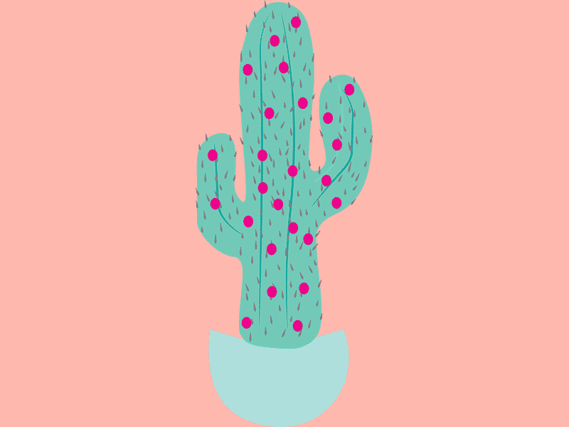 Holiday Cactus branding christmas christmas lights digital illustration