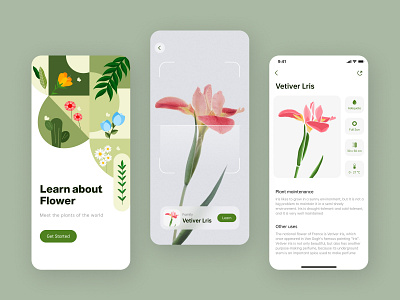 Plant Dictionary app app design illustration ui