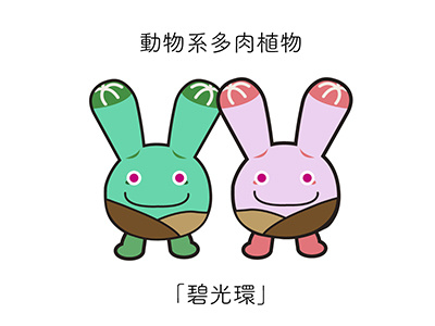 PlumpPlanet Story Character Design animation cartoon character children comics funny icon plant sticker succulent warm