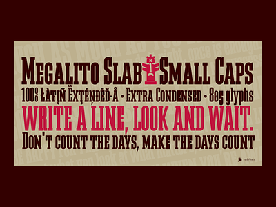 Megalito Slab Font bitcoin bold cyrillic display extra condensed latin extended a layer font open type features retro small caps typeface typography versalite vintage