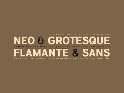 Flamante Sans, Neo Grotesque fonts