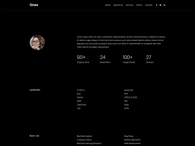 One Page Developer Template bootstrap clean developer html5 template modern onepage resume simple web template