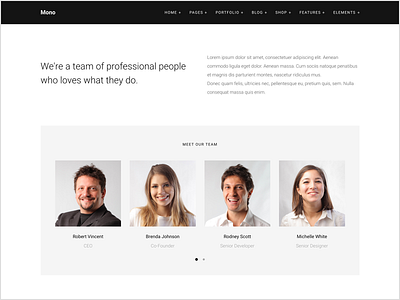 About Team web template about about us bootstrap carousel clean html5 modern simple slider team template ui ui ux web design web template