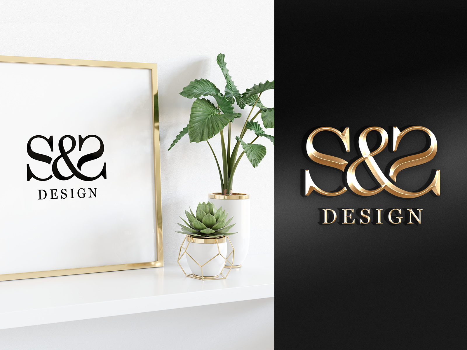 S&S DESIGN by shanchu on Dribbble