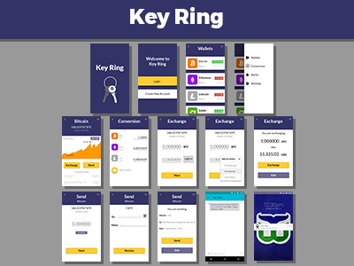 Keyring app screens cryptocurrency graphic design testing ui user experience design ux wireframes