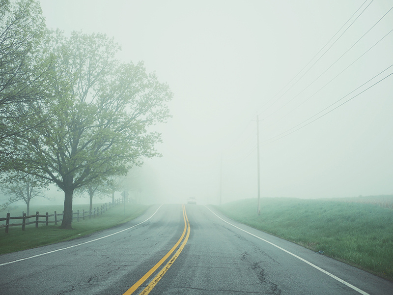 Morning Commute commute morning road trees nature foggy fog photography