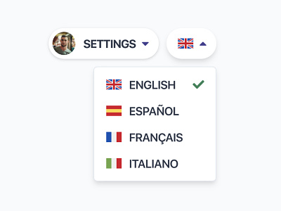 Language Switcher (ProspectWith.com) flags i18n internationalisation language language switcher languages
