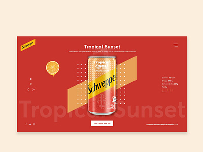 Landing page exploration for Schweppes