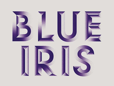 Blue Iris 3d gradient grain typography