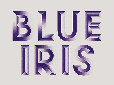 Blue Iris