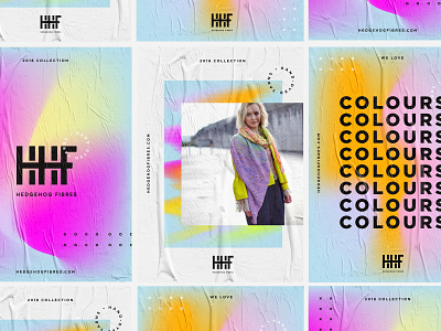 Hedgehog Fibres – Branding branding colour design gradient background gradients modern posters