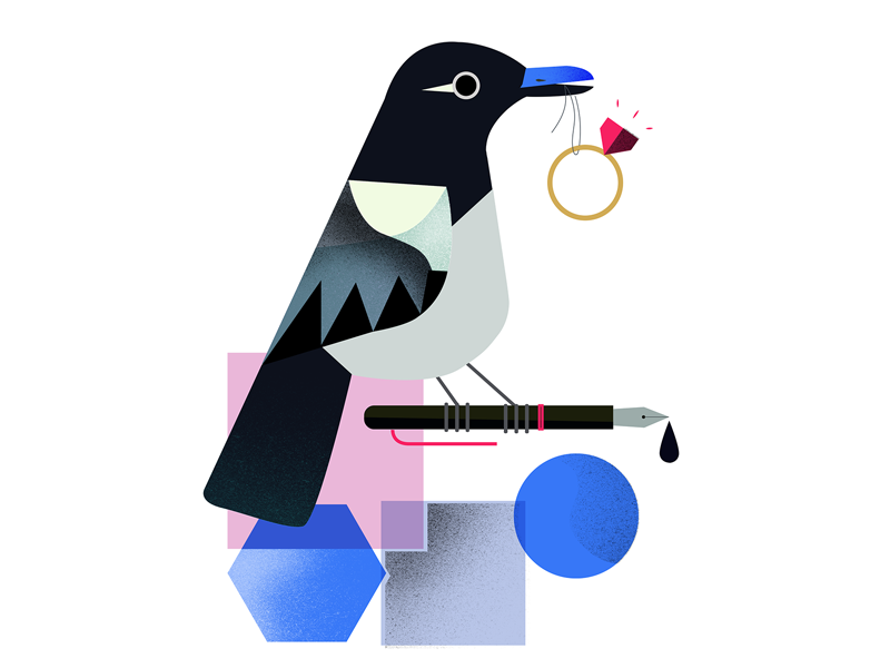 Pica Pica bird by Monika Pola on Dribbble