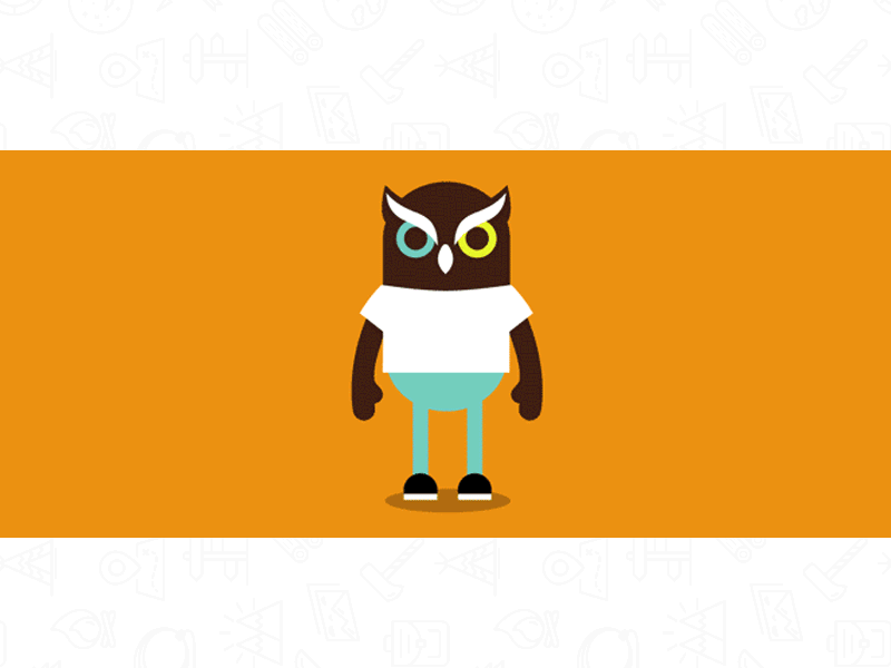 Owl start animation