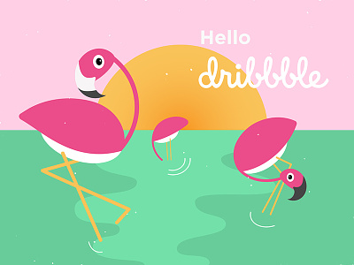 Hello Dribbble debut flamingo flat design hello illustration invite nature summer