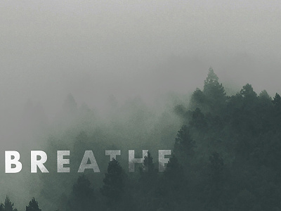 Wanderlust III breathe fog forest photography typography words