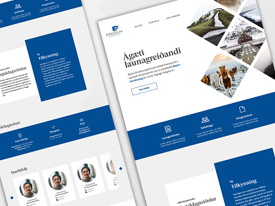 Landing page for an Icelandic pension fund