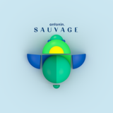 a. Sauvage