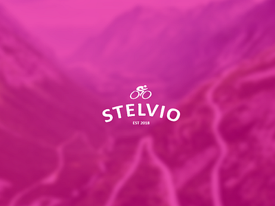 Stelvio brand design identity logo stelvio