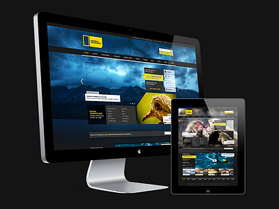 National Geographic Website design ipad national geographic web website