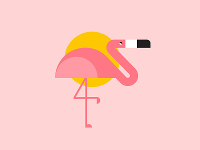 Flamingo