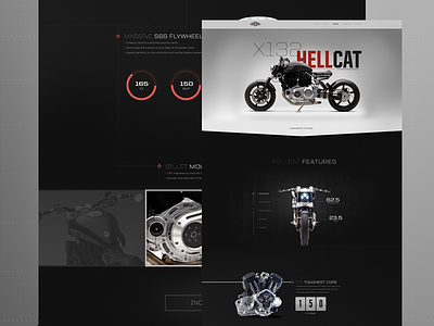 Handsome Challenge - Confederate Hellcat clean graph handsome layout marketing redesign ui ux web