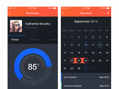 Money Manager iOS Screens calendar circle graph data ios payment profile ui