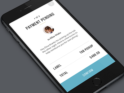 Payment iOS Design app clean data form ios iphone layout payment reciept ui