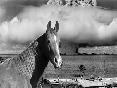 Atomic Horse animal atomic black and white bomb horse