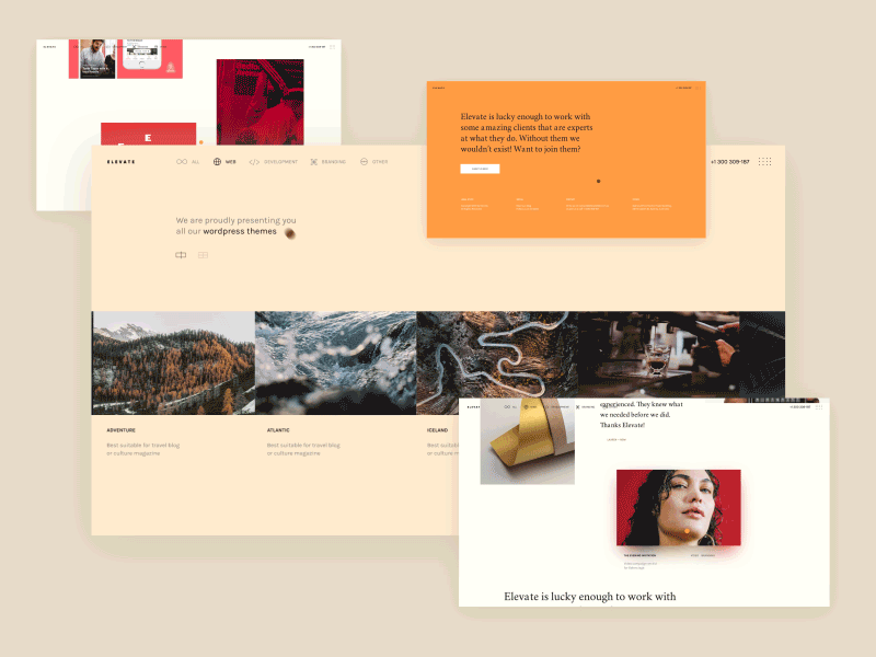 Portfolio Concept beige gallery minimal orange portfolio