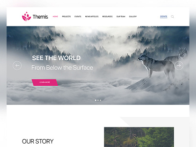 NGO Distro: Themis design ui ux web website