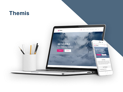 Case study of Themis Theme: NGO Distro concept design flat ui web website