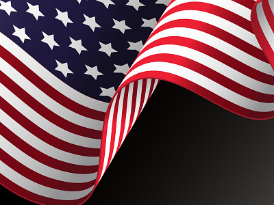 American Flag american flag holiday illustrator vector