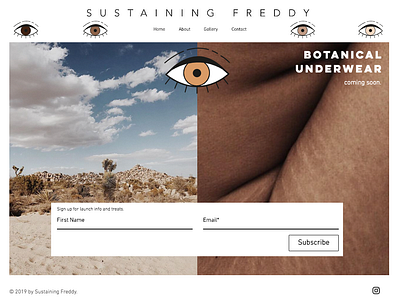 Sustaining Freddy design sustainable web design web page website
