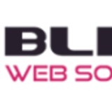 Brian | Blitz  Web Solutions