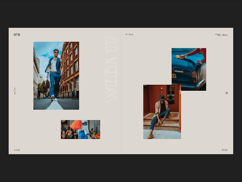 Lookbook concept by Oscar Beamish for Fireart Studio on Dribbble