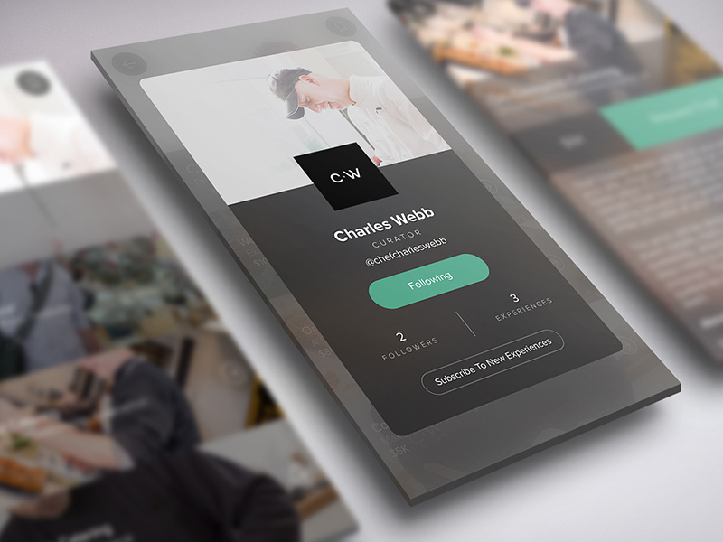 EYES/ONLY Curator Profile user interface user experience