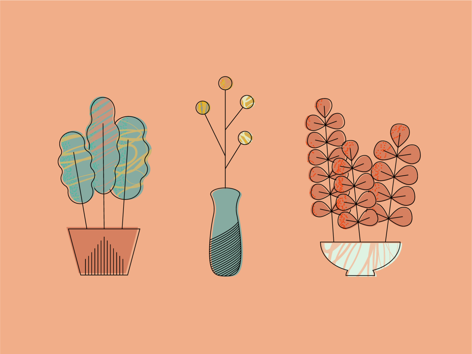 plant guys by Claire Smith on Dribbble