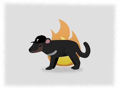 Nigel animal australia fire illustration tasmanian devil