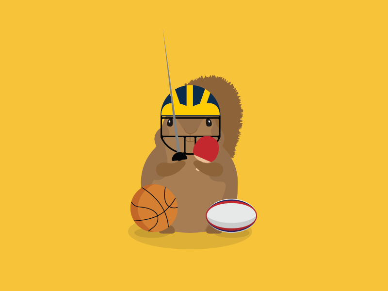 Nuts About Rec Sports animation design illustration michigan pun sports squirrel