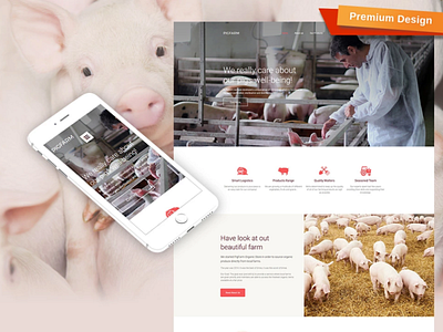 Pig Farm Responsive Website Template design for website mobile website design responsive website design web design website design website template