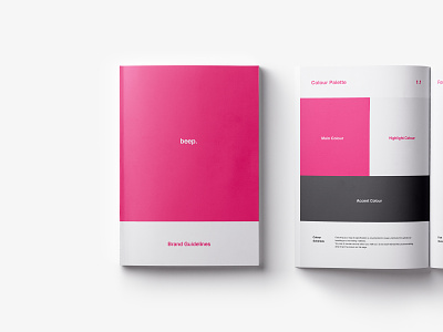 Branding Guide brand guide brand guidelines branding guidelines