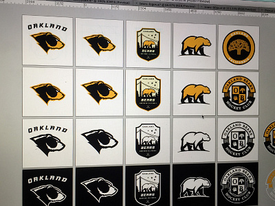 Bears Logo Grid bear black branding gold grid hockey logo sport